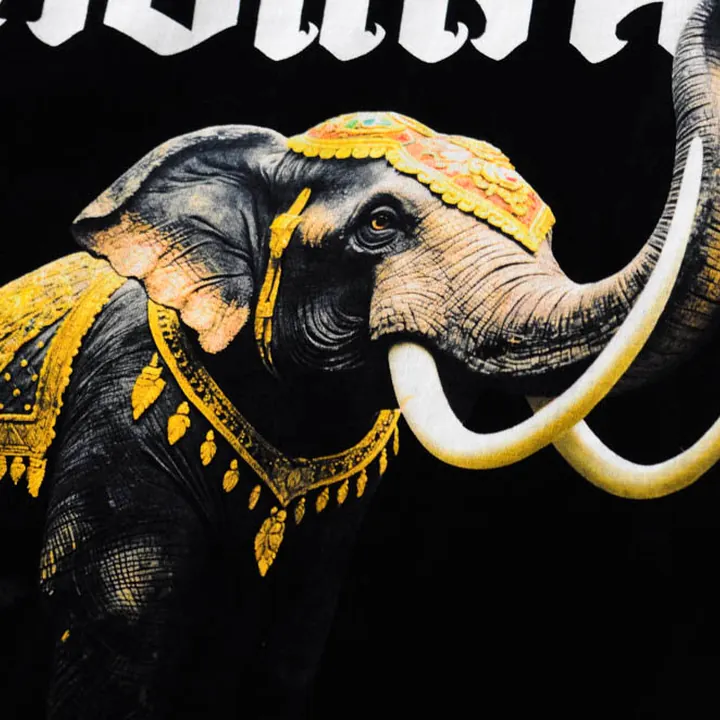 ตัวอย่างรายละเอียดงานสกรีน DTG บนเสื้อสีดำจาก Loomora DTG