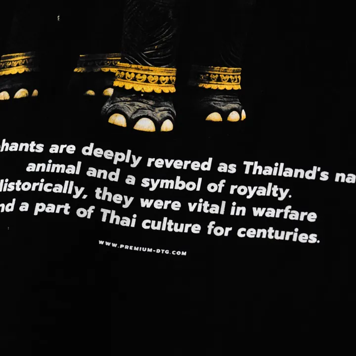 ตัวอย่างรายละเอียดงานสกรีน DTG บนเสื้อสีดำจาก Loomora DTG